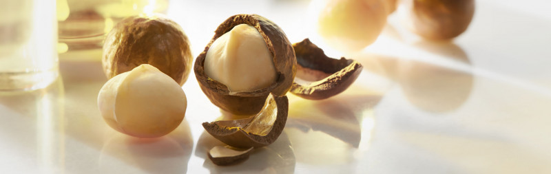 Questions about incredients and formulations